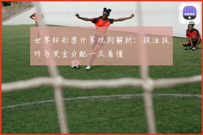 世界杯彩票计算规则解析：投注技巧与奖金分配一文看懂