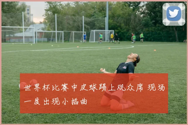世界杯比赛中皮球踢上观众席 现场一度出现小插曲