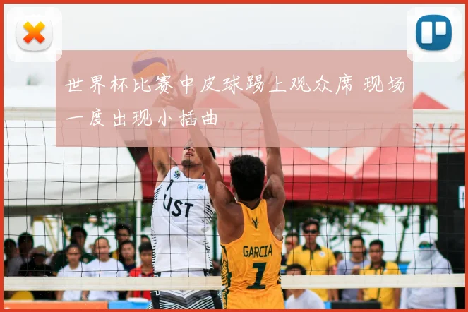 世界杯比赛中皮球踢上观众席 现场一度出现小插曲