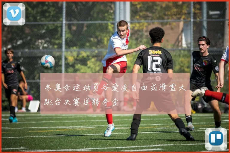 冬奥会运动员谷爱凌自由式滑雪大跳台决赛逆转夺金